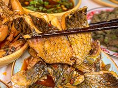 -费明中罗非鱼(大石坝店)