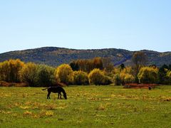 -北极村旅游风景区