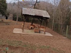 -合肥野生动物园