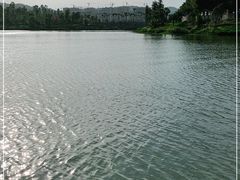 -枫香湖儿童公园