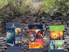 -怀托摩萤火虫洞