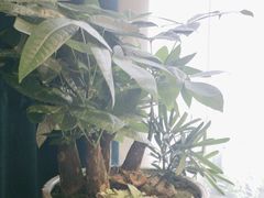 -五岳宫·私房菜