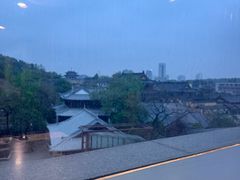 -七欣天香辣蟹火锅(南京建宁路大观天地店)
