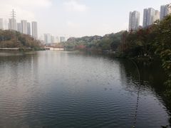 -重庆彩云湖湿地公园
