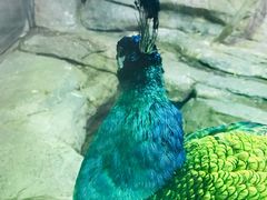 -福州罗源湾海洋世界旅游区