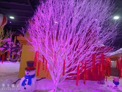 -圣名游乐城冰雪大世界