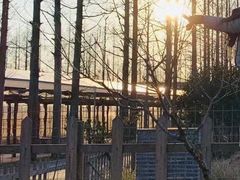 -前小桔亲子创意农场·草莓采摘·露营烧烤