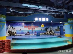 -重庆欢乐海底世界