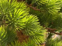 -瓦舍茶馆(聚源路店)