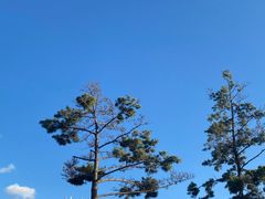 -威海国际海水浴场旅游区
