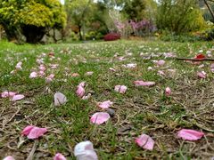 -独一道·邵伯龙虾土菜馆·烧烤(雨花西路店)