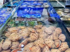 -小铜锣湾海鲜家常菜馆(河西店)