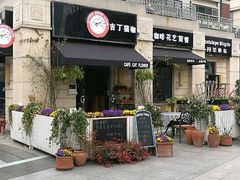 -吉丁鸟咖·异宠·寄养