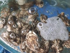 -叶存利海鲜大馅饺子(东戴河止锚湾店)