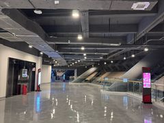 -成都金融城演艺中心