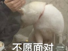 -万禧明珠大酒楼(海丰店)