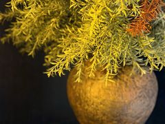 -杭州西湖湖滨银泰亚朵酒店