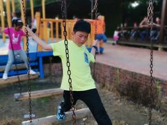 -武汉紫薇都市田园