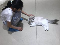 -藏猫猫咖啡主题馆(中央大道店)