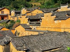 -杨家堂村