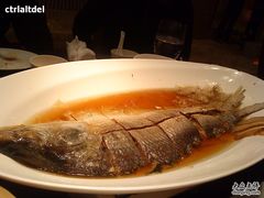 清蒸鲥鱼 -上海小南国(正大店)