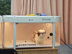 -翊宠yipet猫狗购宠庄园