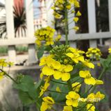 拍完才发现我是竖屏拍的又不想再拍第二遍了