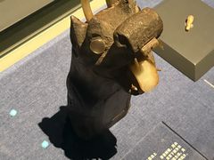 -南京大牌档(龙江新城市广场店)