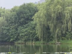 -北坞公园