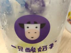 -一只酸奶牛(东方广场店)