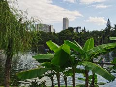 -晓港公园