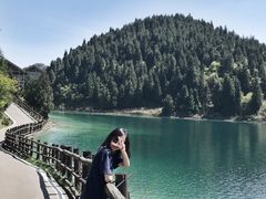 -武陵山森林公园