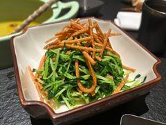 热拌撒子豆苗-锦荟JINHUI·浙江小馆(上海荟聚店)