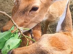 -泗洪洪泽湖湿地景区
