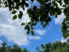 -杭州半山国家森林公园