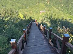 -大岭沟猕猴桃谷风景区