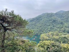 -鼎湖山风景区