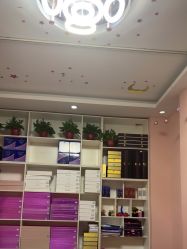 -香薇妮丝·定制减肥·身材管理