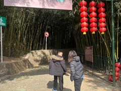 -鲁山国家森林公园