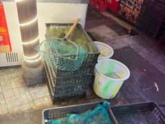 -鸿顺老铁锅美蛙鱼府(解放碑店)