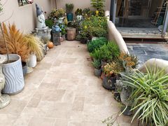 -IFIF 如果花園(宽厚里店)