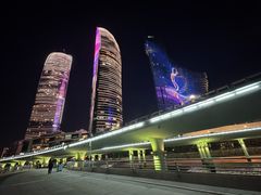 -演武大桥观景平台