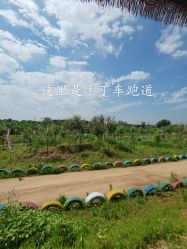 -甜果乐园