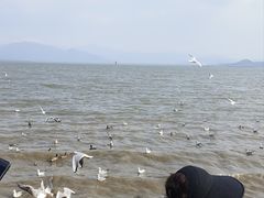 -深圳湾公园(南山区)