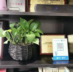 -臣丽纹眉品牌连锁