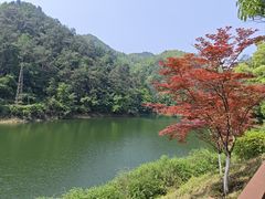 -滴水洞景区