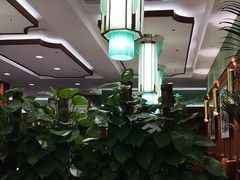 -蝶园·装修中(BFC外滩金融中心店)