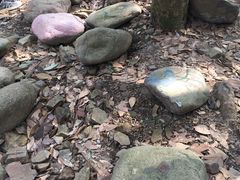 -黄公望隐居地