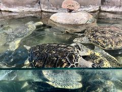 -厦门海底世界
