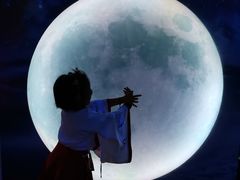 -天津梵高星空艺术馆(天河城旗舰店)